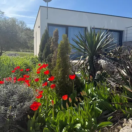 Vista Apartment Porec